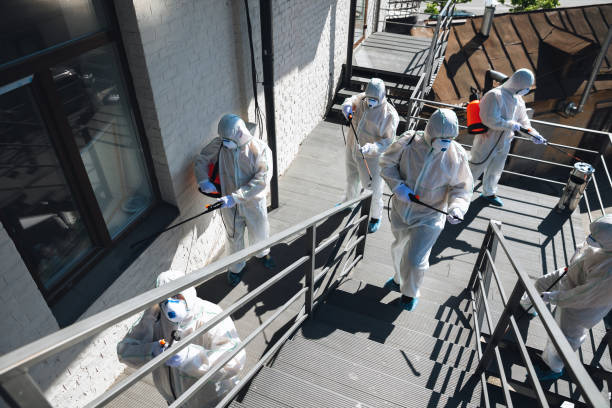 Best Black Mold Removal  in Gold River, CA