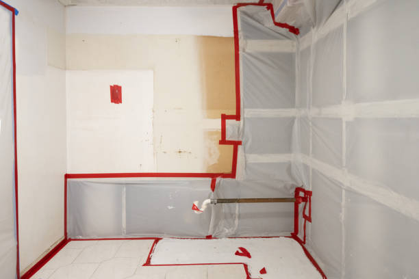 Best Attic Mold Removal  in Gold River, CA