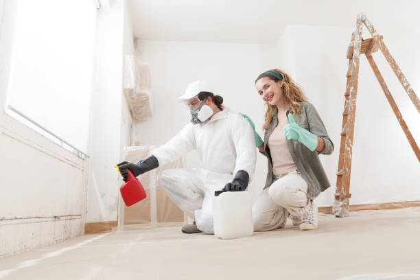 Professional Mold Removal in Gold River, CA